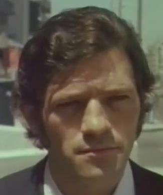 Χήνας Φάνης