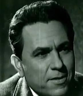 Βόκοβιτς Στέλιος