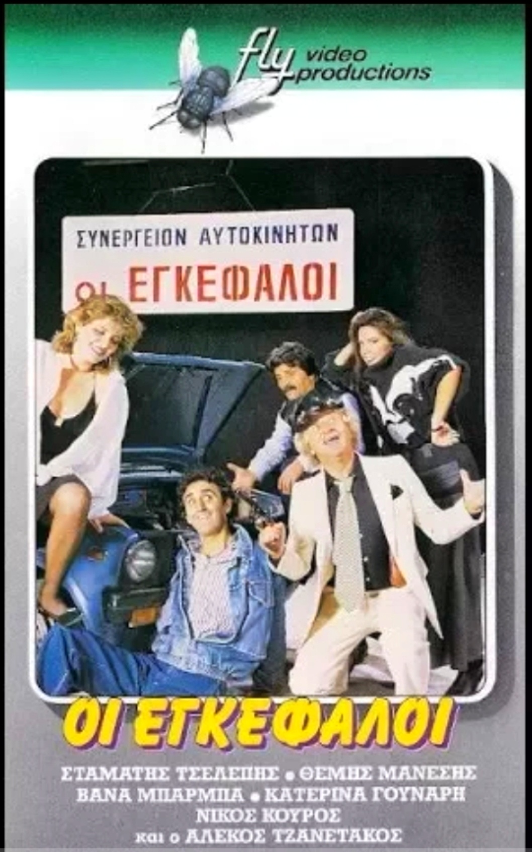 Front cover of Οι εγκέφαλοι