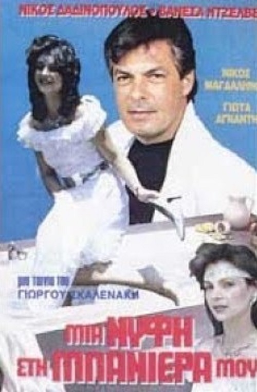 Front cover of Μια νύφη στη μπανιέρα μου